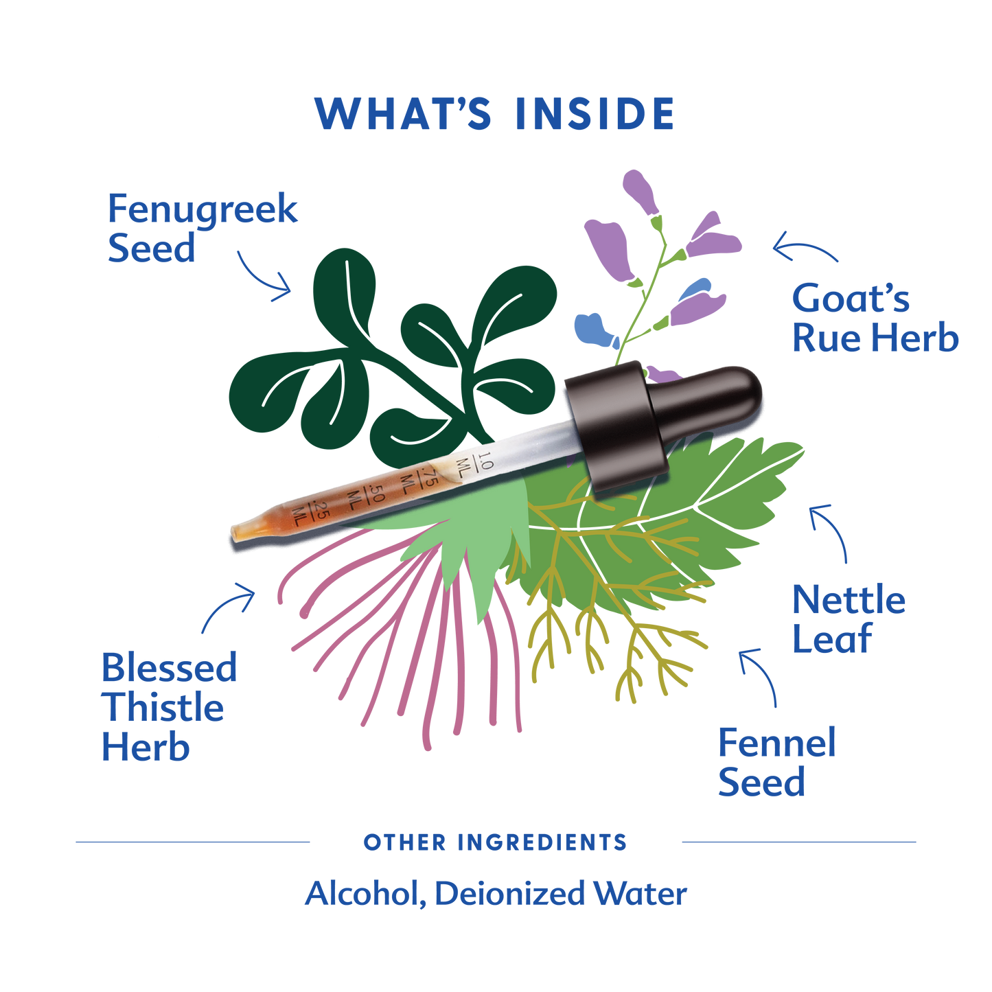 More Milk® Special Blend - Traditional Tincture